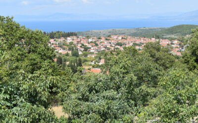 Argalasti: Carefree strolls, wine tasting and swimming in clear blue waters in South Pelion